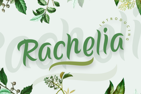 Choosing Rachelia for a Lifestyle Blog Redesign