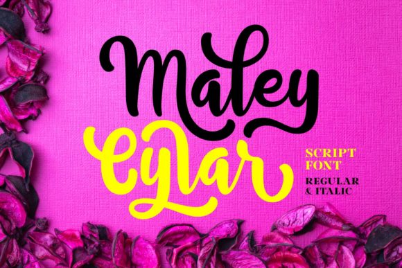 Maley Cylar: A Bold Script Font for Creative Branding
