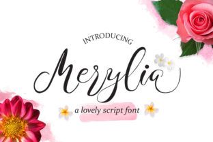 Merylia: A Handwritten Font That Breathes Life into Web Design
