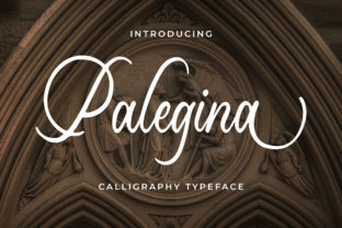 Palegina: A Timeless Script Font for Web Design