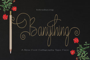 Transform Your Campaigns with the Banything Font